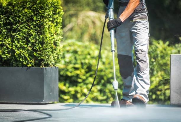 Boat and Dock Cleaning in Fish Hawk, FL
