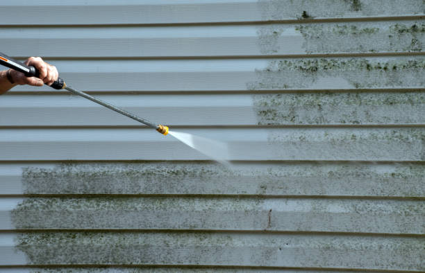 Animal Enclosure Cleaning in Fish Hawk, FL