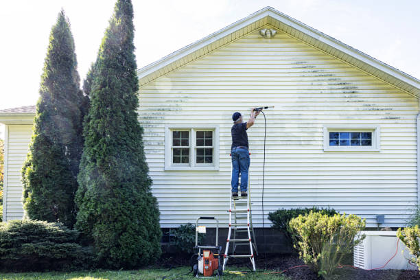 Best Patio and Deck Pressure Washing  in Fish Hawk, FL