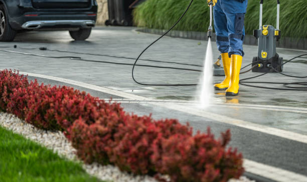 Best Gutter Cleaning  in Fish Hawk, FL