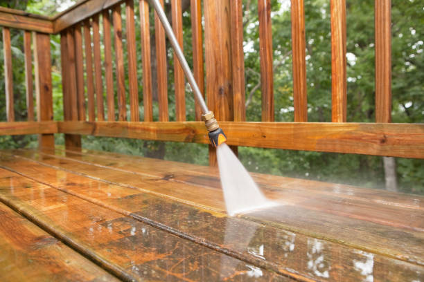 Best Pool Deck Cleaning  in Fish Hawk, FL